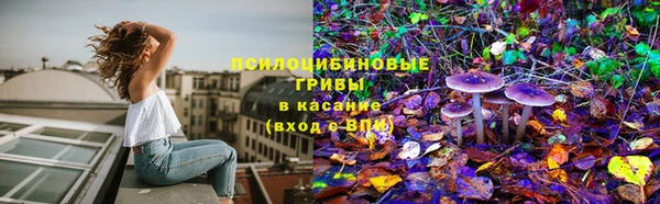 прущая мука Алзамай